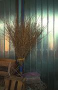 Broom